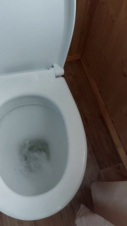 Туалет на Даче