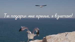Ты подарил мне крылья, я взлетаю!