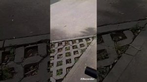 обзор на наши площадки и парки
