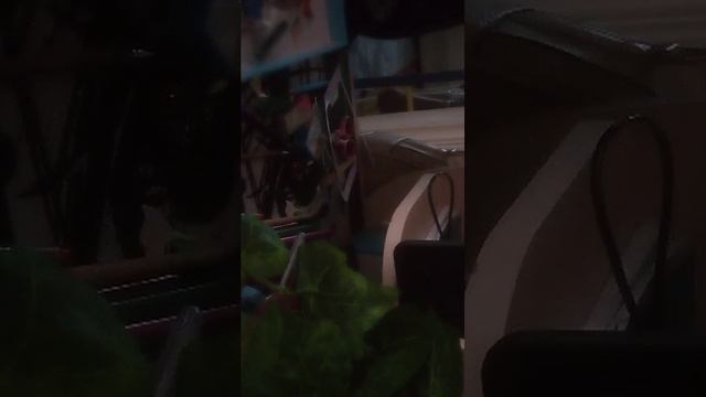 убираемся