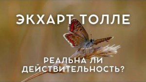 Разрушаем Все Мифы o Реальности! Почему Наш Мир Ошибка! Экхарт Толле