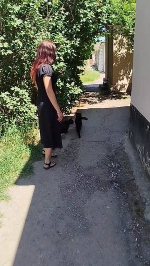 мы с котом вдвоём по улице идём