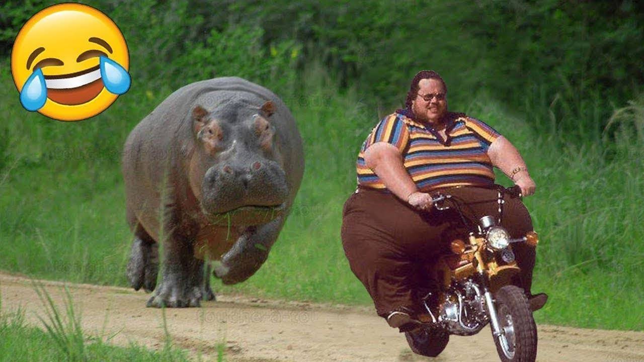 🍿 ПОПРОБУЙ НЕ РАССМЕЯТЬСЯ 😆 Подборка лучших смешных видео 😂😁😆 Мемы неудачи смотреть онлайн