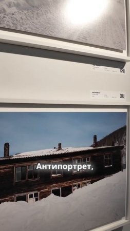 Как природа побеждает человека в мемориалистичных пейзажах