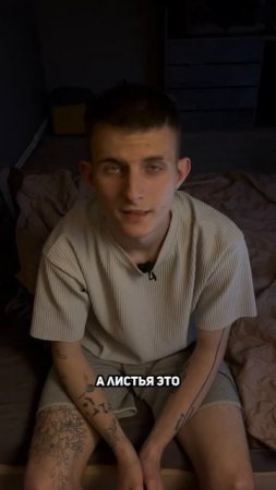 ДЕНЬ 16-ЫЙ как я набил татуху логотипа
Яндекс Маркета #черепаха #креатор #кружка #логотип #лайо