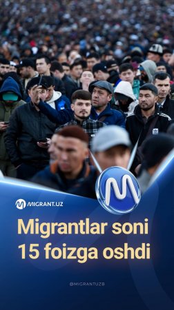 Migrantlar soni 15 foizga oshdi