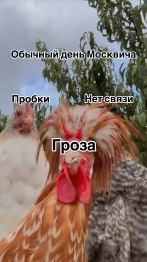 Такая жизнь😁