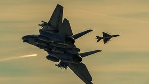 F-14 Tomcat vs MiG-21 Fishbed