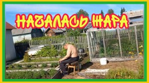 10/7 25 ДРУГИ МОИ МАХОНУЛИ. ВЫСТОЯЛИ В ХОЛОДА. НАДЕЖДА ПЛОХАЯ. МОЙДОДЫР. АРОМАТ БЕЗ ОБМАНА.