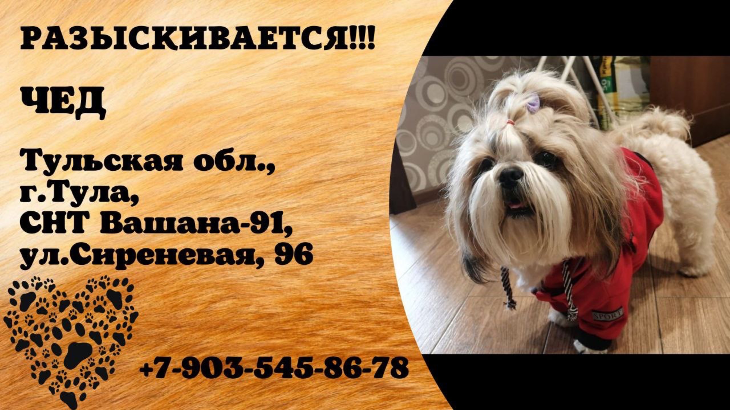 Пропала собака! ЧЕД, Тульская обл., г.Тула.