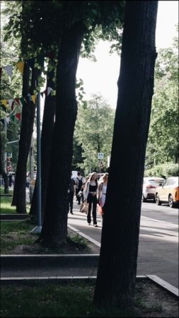 Вайбы Даблби: Донская