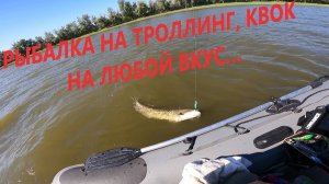 РЫБАЛКА НА ТРОЛЛИНГ, КВОК, НА ЛЮБОЙ ВКУС…