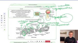 Органоиды клеток -часть 1 ЛШ