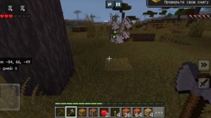 играю в craftsman 5