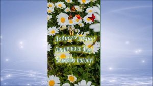 #ДоброгоУтра#ХорошегоДня