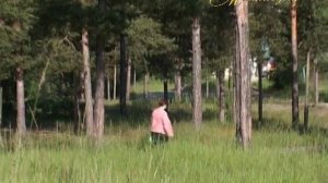 "МИМОХОДОМ", 21 июля 2010 год. Автор проекта О. Дзиов