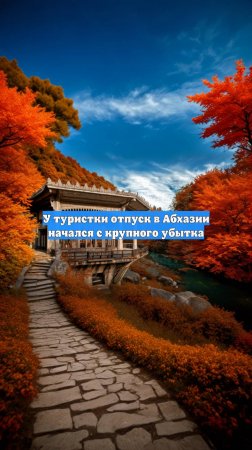 У туристки отпуск в Абхазии начался с крупного убытка