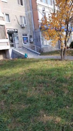 Уже сейчас на моем Дзен канале примерка на Озоне   артикулы в посте на дзен