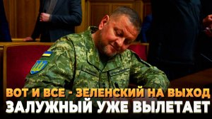 Вот и все - Зеленский на выход, Залужный уже вылетает