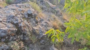 КАМЕНСК-УРАЛЬСКИЙ. СКАЛА КОРЕШОК.