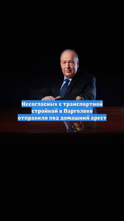 Несогласных с транспортной стройкой в Парголово отправили под домашний арест
