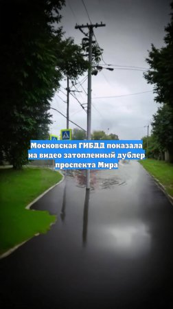 Московская ГИБДД показала на видео затопленный дублер проспекта Мира