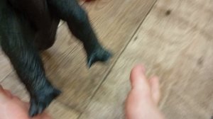 обзор на некоторые игрушки