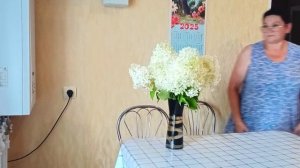 20.07.2025г./ ВАДИМ ЗАЛИЛ ПРИСТУПОК.//
ОБЫЧНАЯ СЕЛЬСКАЯ ЖИЗНЬ