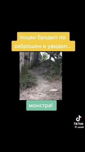 что ты такое