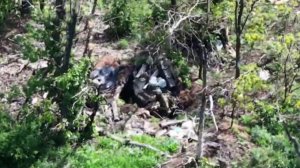 Бойцы "Южной" группировки войск рассказали об освобождении села Белая Гора в ДНР