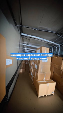 Башкирия нарастила экспорт молочной продукции