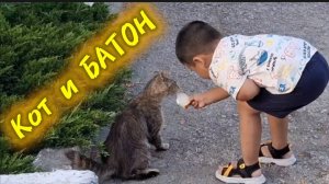 Как накормить кота батоном. Лайфхак от детей 😺✨