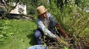 Если  вам навели порчу, сглазили, заколдовали? 2 часть