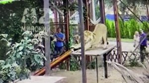 На обед Шерхану 21.07.2025