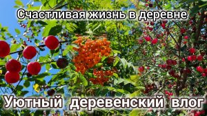 Счастливая и уютная жизнь в деревне, влог, деревенское лето