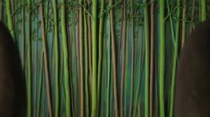 Определите группы ПИ