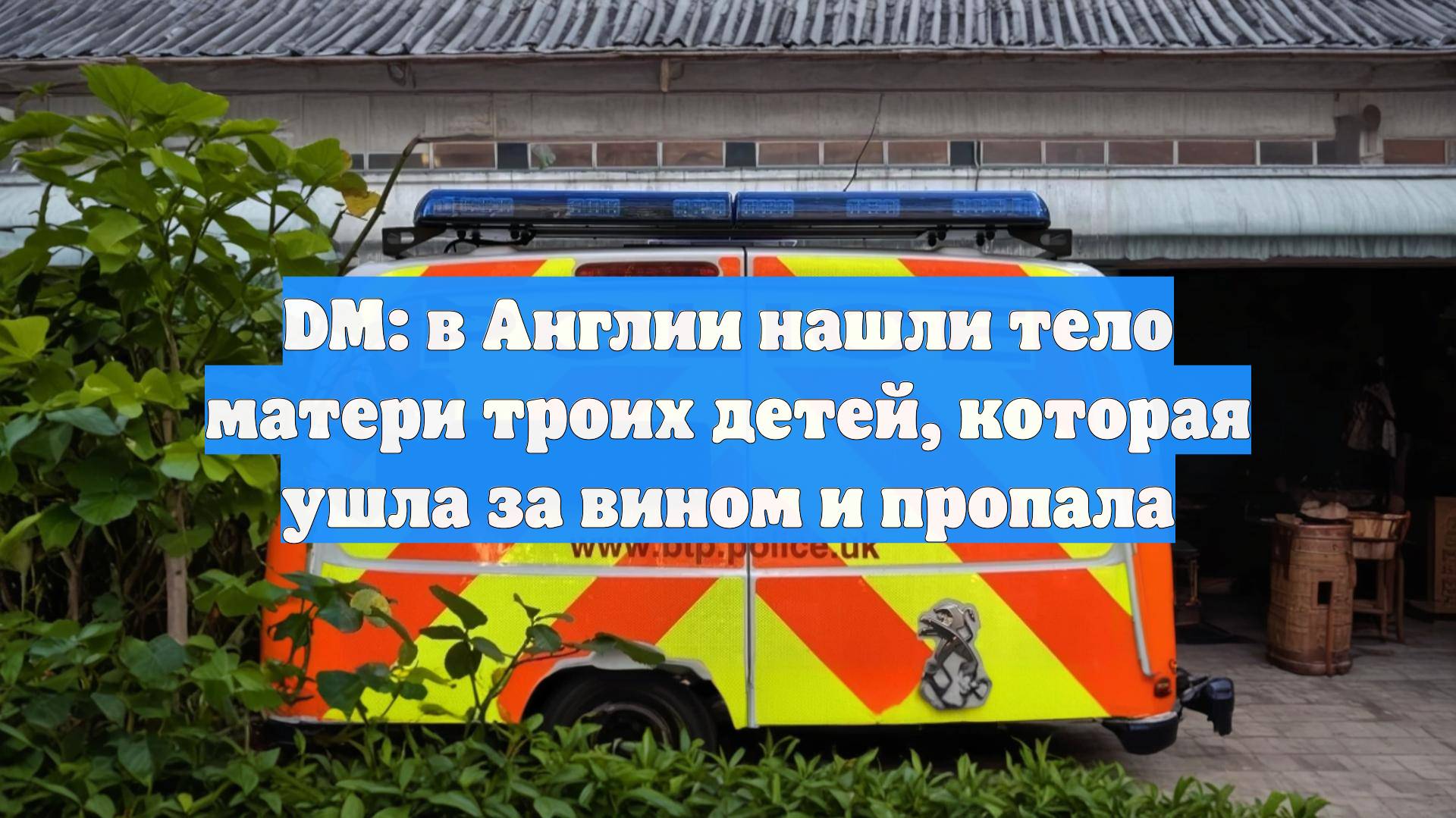 DM: в Англии нашли тело матери троих детей, которая ушла за вином и пропала