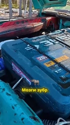 TG: nexpertGM Что в коробке?? #shorts #независимыйэксперт #георгиймедведев #авто
