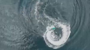 Gidriki.ru Прокат,аренда гидроциклов, водных мотоциклов brp sea