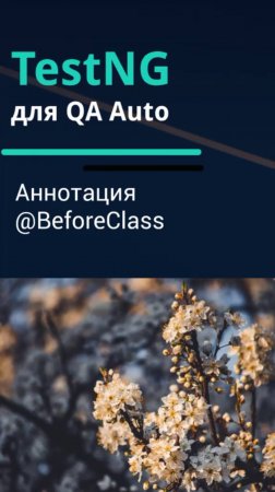 TestNG для QA Auto. Аннотация @BeforeClass.