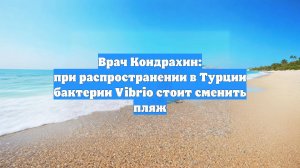 Врач Кондрахин: при распространении в Турции бактерии Vibrio стоит сменить пляж