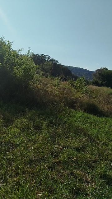 Будьте непоколебимы! смотреть онлайн