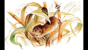 Аудиокнига Мышонок Пик