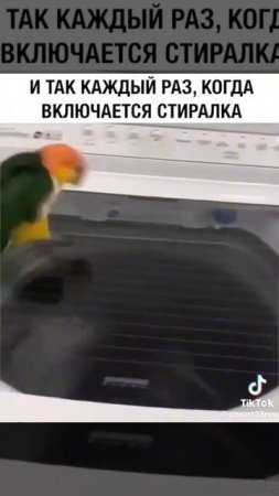 😄😄😄