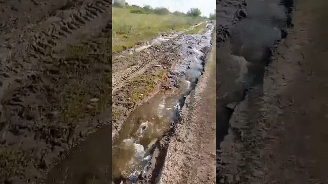 Гвардейка без воды с октября 2024 года смотреть онлайн