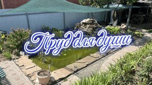 Пруд для души