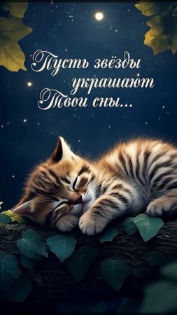 Пусть звёзды украшают Твои сны…