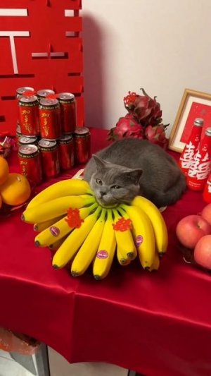 Натюрморд 😄