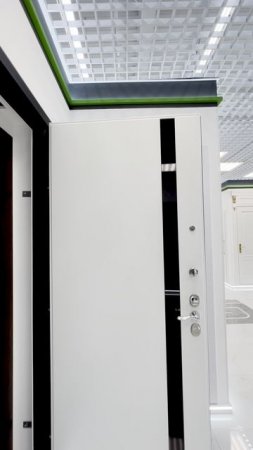 Входная дверь Гардиан с отделкой в современном стиле