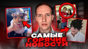 Парень Увеличил Свой Рост🤯Главный Аниме-Поклонник...Собачка Неудачно Поиграла С Пчелами.😄